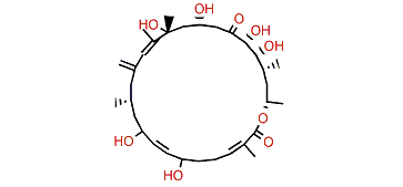 Amphidinolide B9